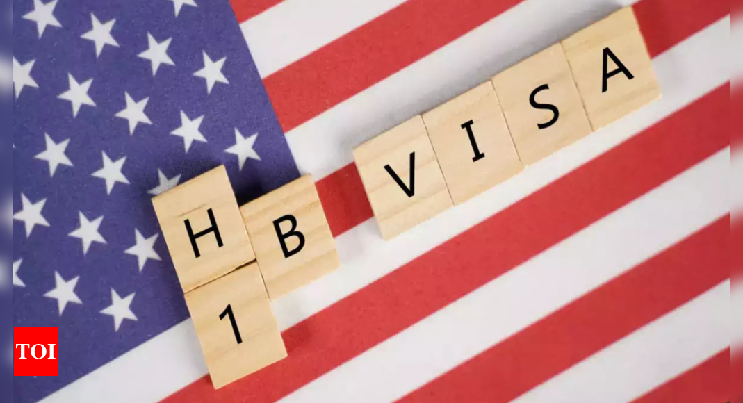 Second phase of H-1B modernisation plan on the anvil