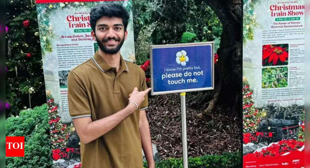 Please do not touch me: Gukesh's viral playful post adds humor to his historic World Chess Championship victory |