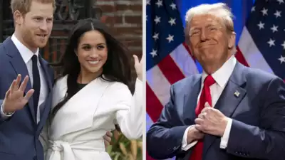 Meghan Markle's influence behind Prince Harry and Donald Trump hostility; What expert says on duke still working with royal family