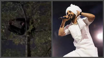 Diljit Dosanjh’s Chandigarh concert becomes a Chamkila tribute as fans climb trees to get a glimpse; Imtiaz Ali REACTS – See post |