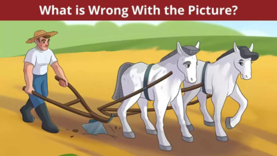 Optical Illusion: Are you smart enough to find an error in this farm picture?