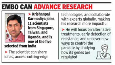 IISER Pune Scientist Recognized by EMBO for Malaria Drug Resistance Research