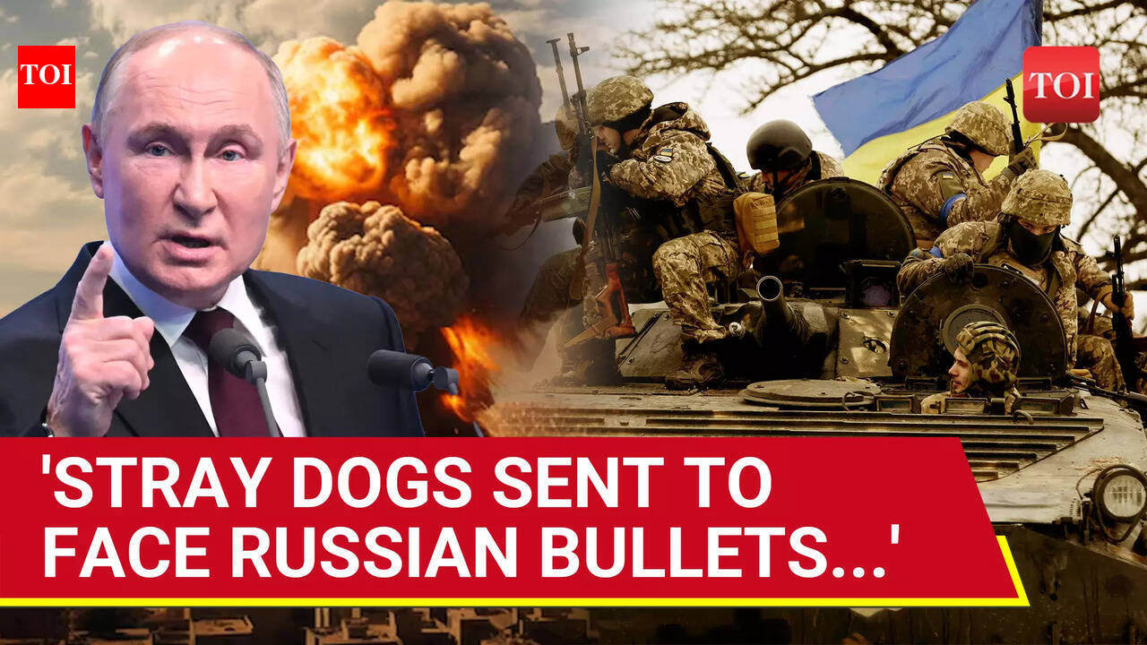 Putin's Rare Message For Ukraine As Russian Forces Make 'Landmark ...