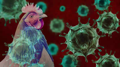 A new pandemic brewing? Alarming mutation in H5N1 virus sparks concerns