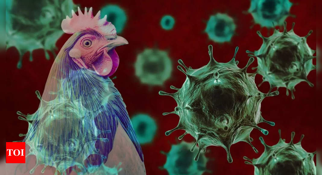 A new pandemic brewing? Alarming mutation in H5N1 virus sparks concerns