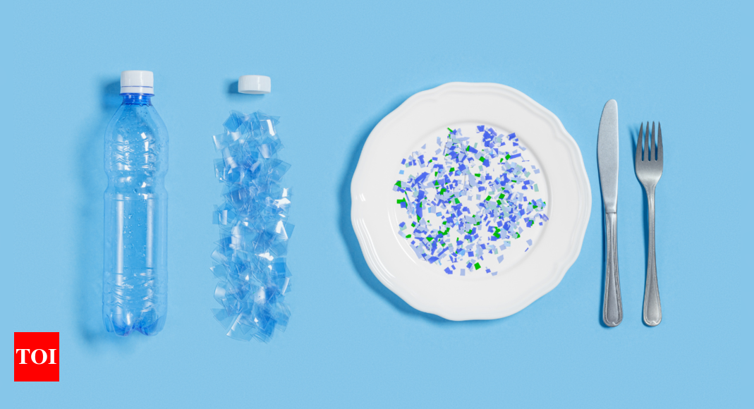 How exactly do microplastics end up in our bloodstream