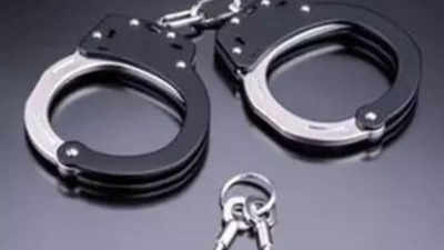 2 men harass woman delivery agent, arrested in Chennai