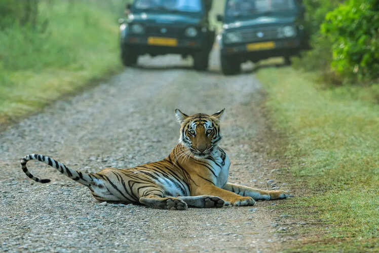 Jim Corbett National Park, Uttarakhand