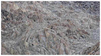 Optical illusion: Only those with sharp vision can spot a snow leopard hiding on a mountain