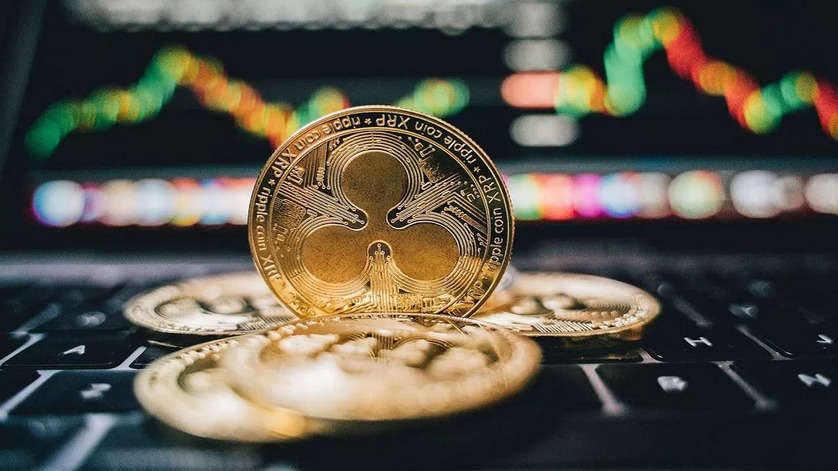 Institutional investors eye Solana and XRP while retail focus shifts to emerging Altcoin Cutoshi