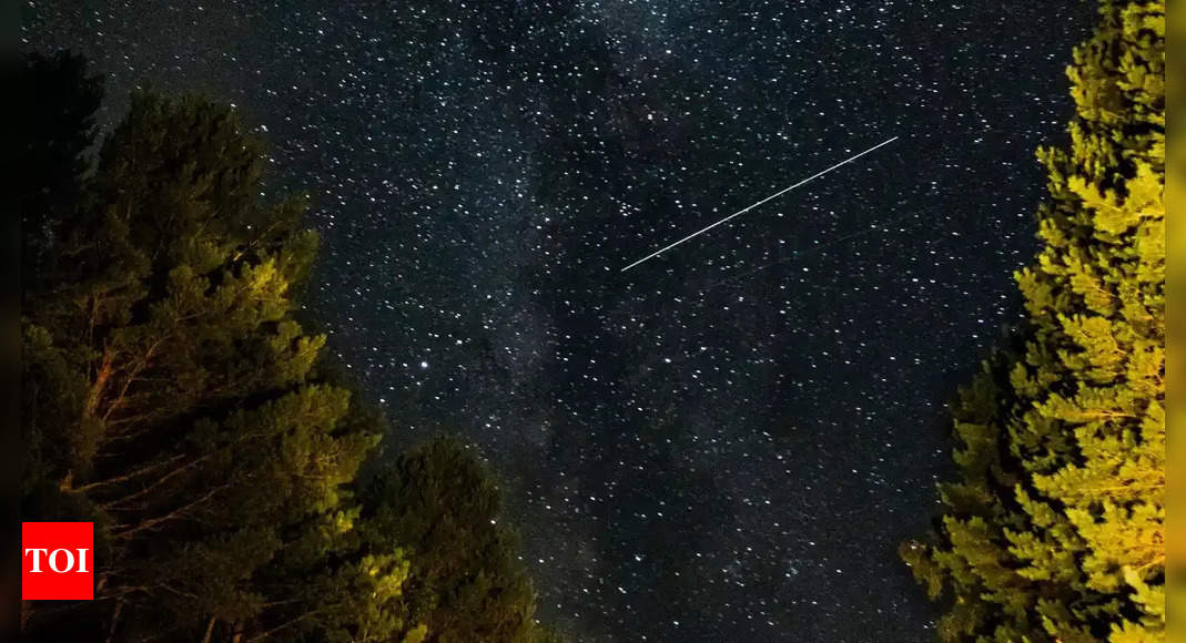 Ursid meteor shower 2024 Here’s when and where you can witness this