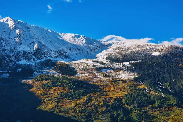 Narkanda, Himachal Pradesh