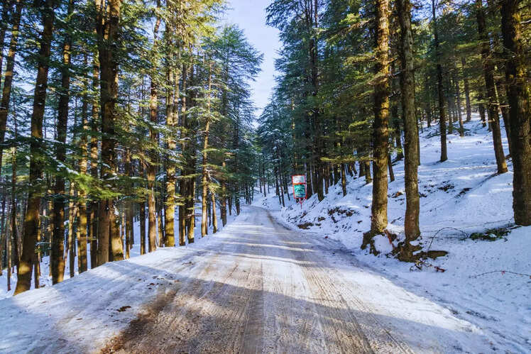 Shimla, Himachal Pradesh