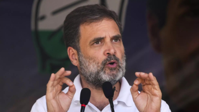 'When govt prioritises crony businesses': Rahul Gandhi as trade deficit, imports hit record high