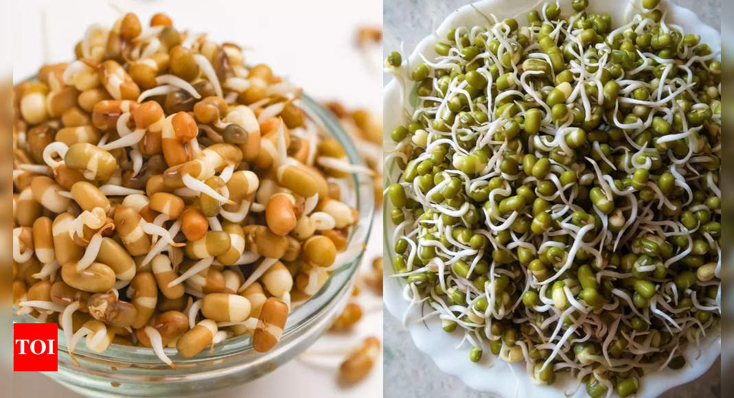 Steamed sprouts vs Raw sprouts: Which is healthier – Times of India