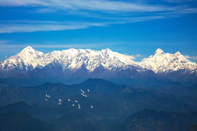 Binsar 
