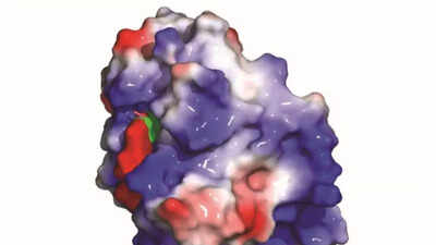 Scientists uncovers a protein that helps cancer cells hide: All about the breakthrough discovery