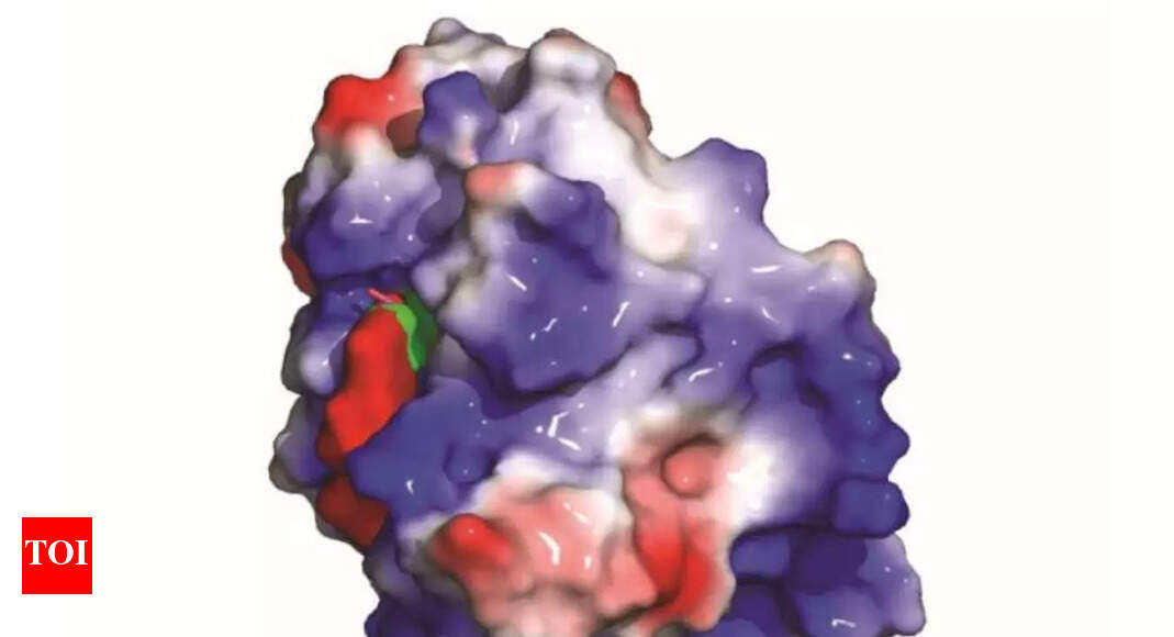 Scientists uncovers a protein that helps cancer cells hide: All about ...