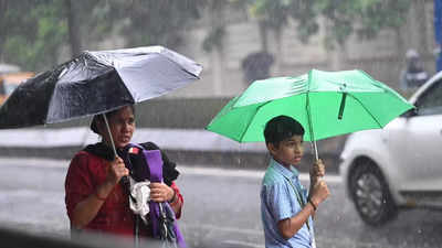 Chennai rain: Nungambakkam hits century