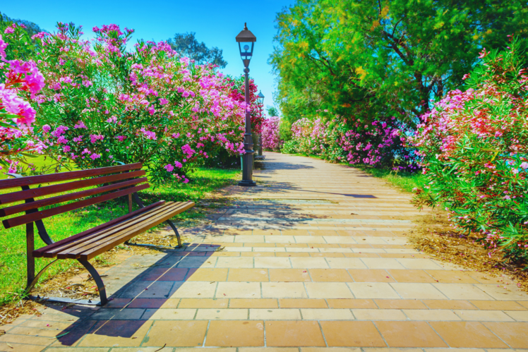 Enjoy nature at Nightingale Park