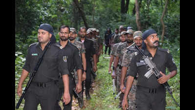 Odisha govt inducts armed cops to boost Similipal security