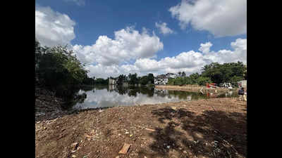 Abandoned plot turns into pond in Virugambakkam