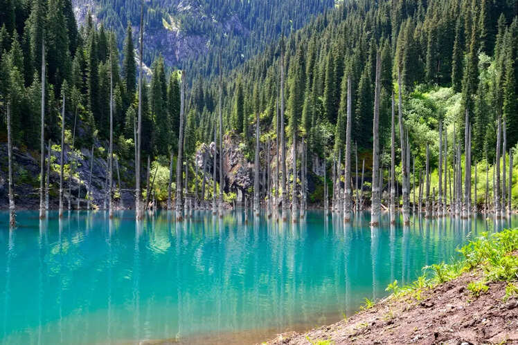 Lake Kaindy, Kazakhstan