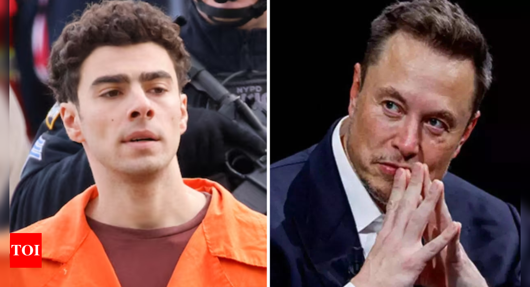 Musk draws 'assassination' threat in Mangione-inspired viral post: 'He's a CEO ... '