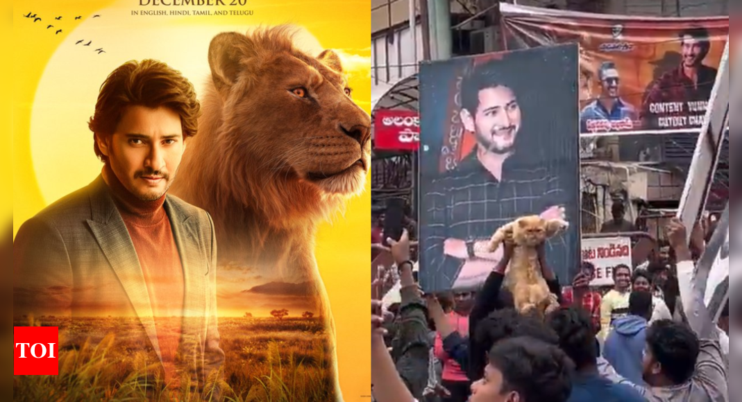 Fans bring cats to Mahesh Babu dub 'Mufasa: The Lion King' screening, recreating iconic Rafiki-Simba moment