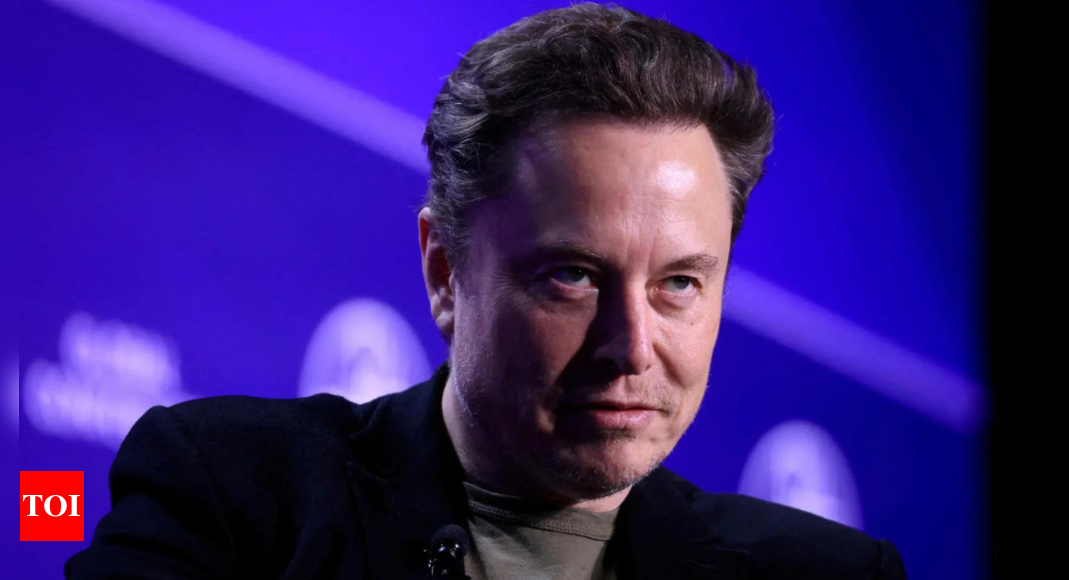 Elon Musk now says only 'extremist' AfD party can save Germany