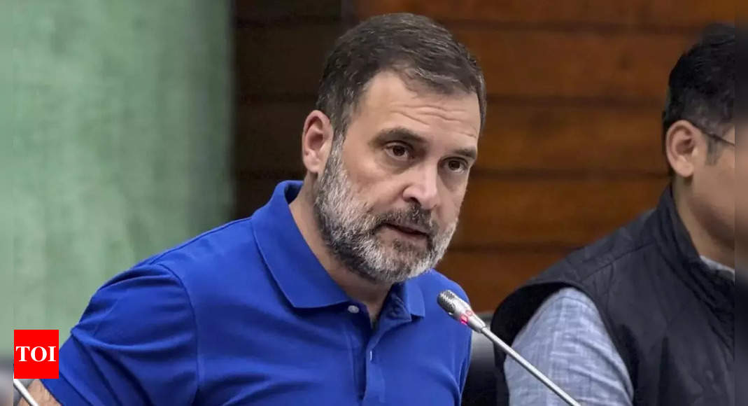 Delhi Police crime branch to investigate Rahul case