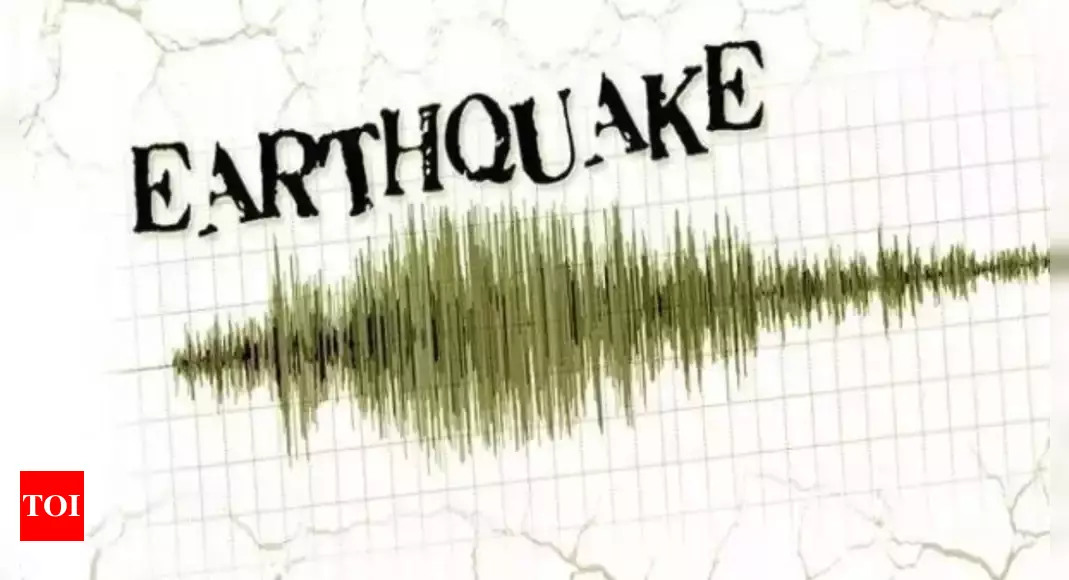 A 4.8 magnitude earthquake hits Nepal