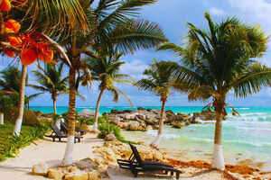 Celebrate Christmas with a tropical twist in Mauritius!