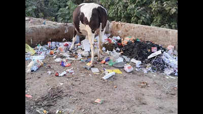 Garbage crisis looms large over Rudrapur, citizens demand action