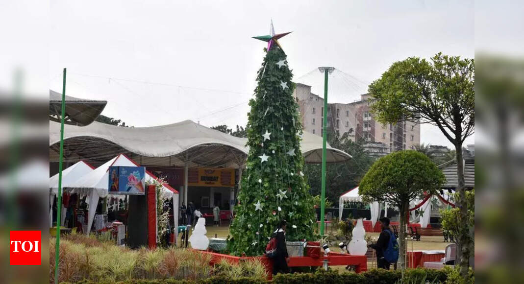 Christmas & New Year festivities light up parks in city | Ranchi News ...