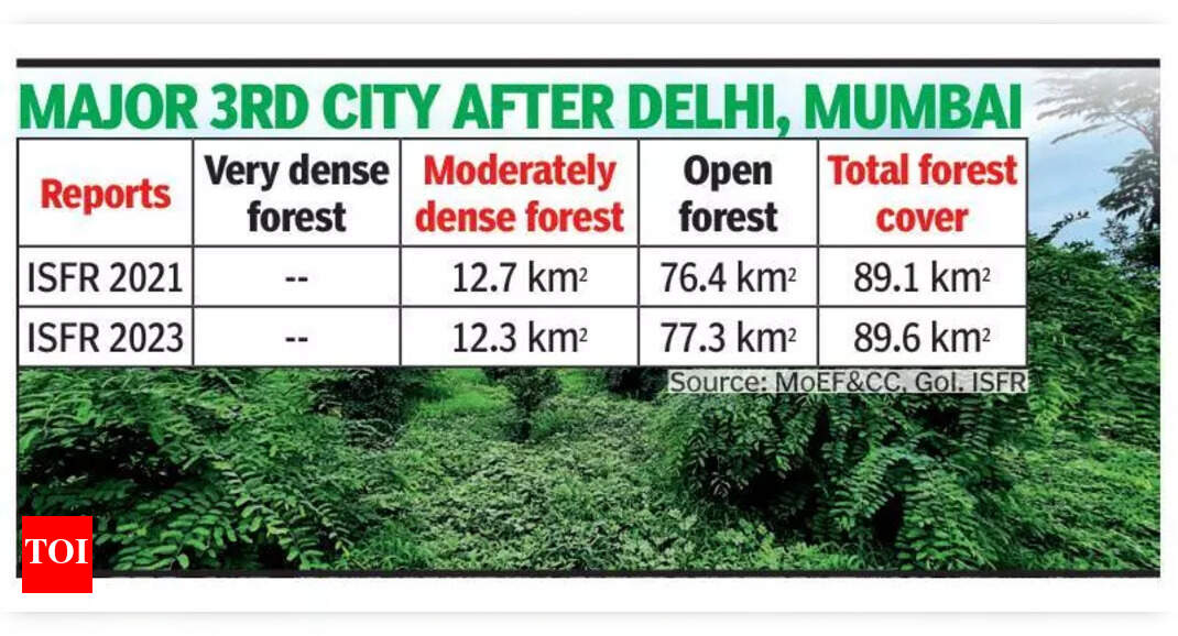 Bengaluru's Green Cover Sees Marginal Gain Amidst Development