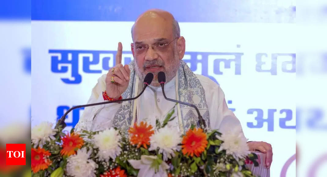 Ambedkar row: BJP plans counter-drive to blunt oppn’s campaign against Amit Shah