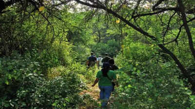 Forest cover down, but Delhi bit greener