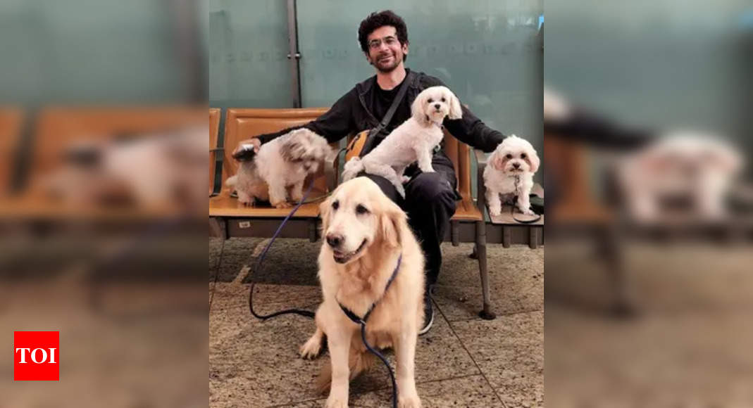 Sunil Grover's 'kaarvaan' with his furry friends