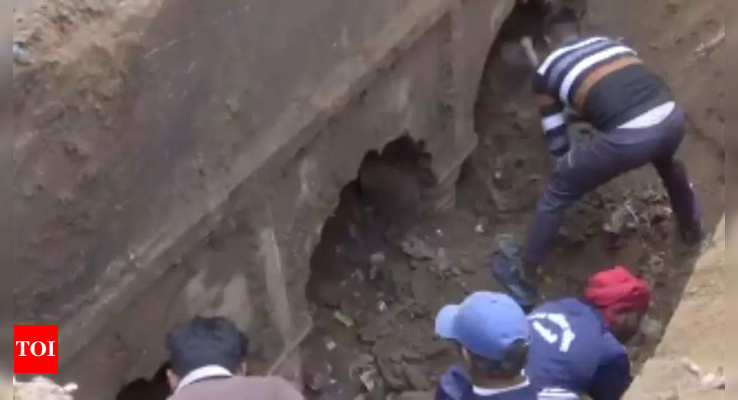 After temple, '150-yr-old' stepwell unearthed in Sambhal