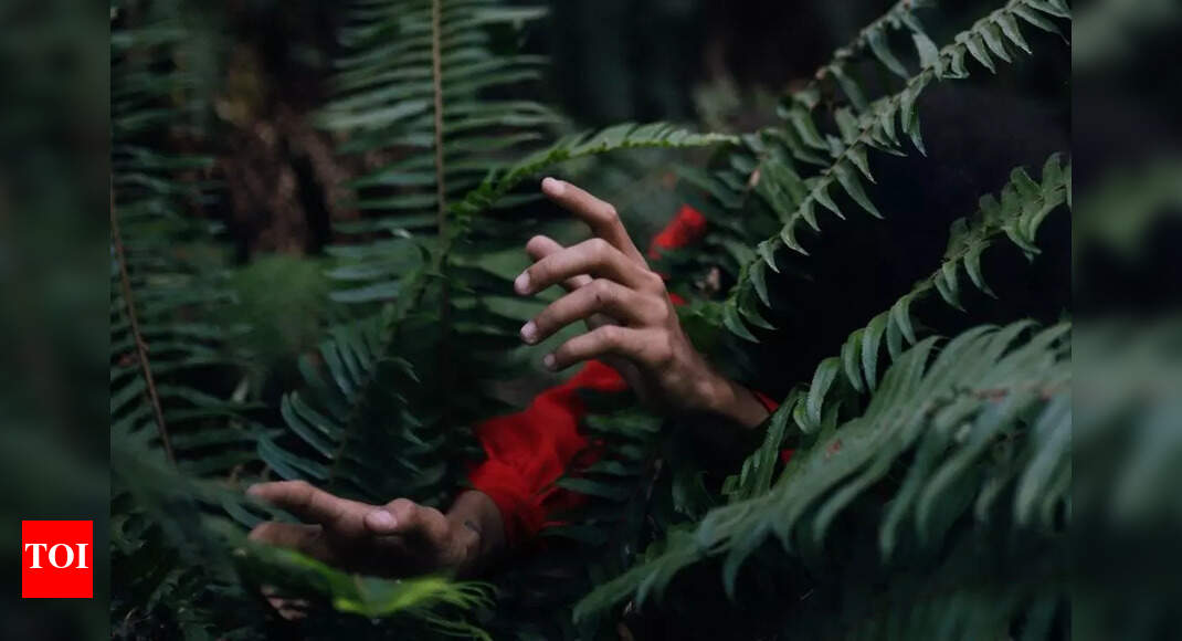Man who got lost in forest did this brilliant thing to attract an ...