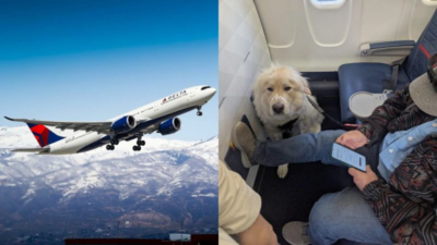  Passenger annoyed as Delta Airlines gives his first-class seat to service dog