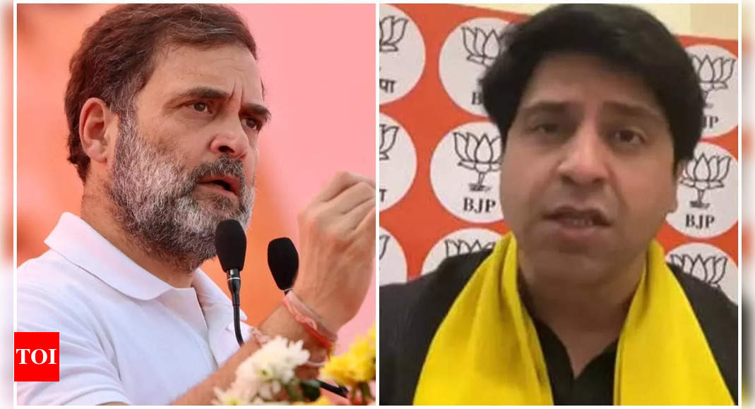 'Leader of panga': BJP's jab at Rahul over Cong's poll losses