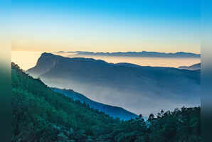 8 reasons to head to Munnar to ring in the New Year 2025