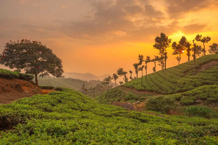 Embrace the beauty of nature -