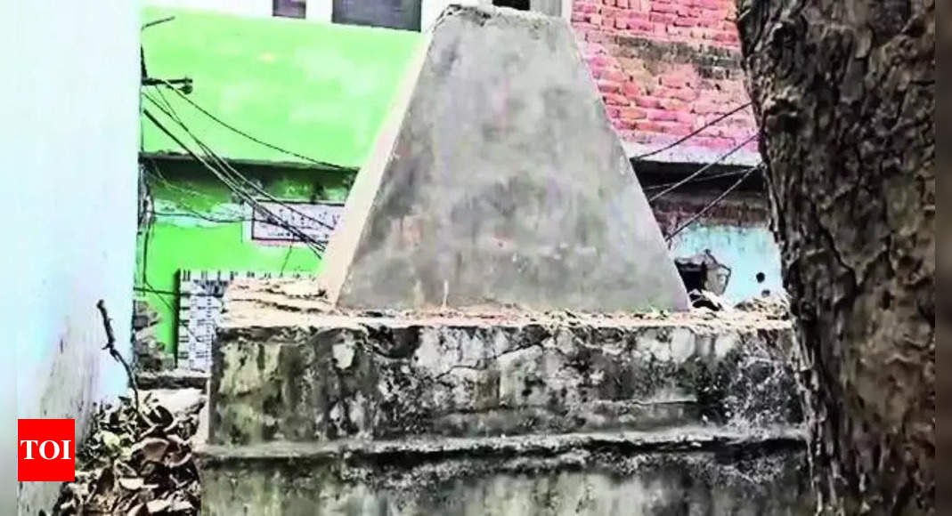 Now, abandoned Hindu temple 'found' in UP's Bulandshahr after 34 years