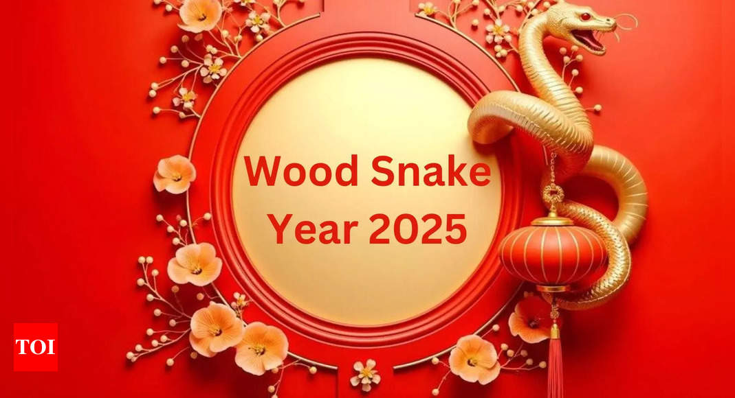 Chinese Horoscope 2025: How the Year of the Wood Snake Will Shape Your Destiny – Times of India