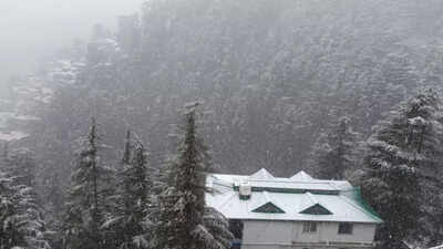Photos: Fresh snowfall paints hill town Shimla white | Shimla News – Times of India