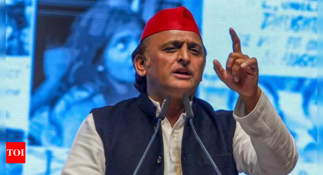 'Will end up digging their own govt': Akhilesh slams BJP over Sambhal excavation