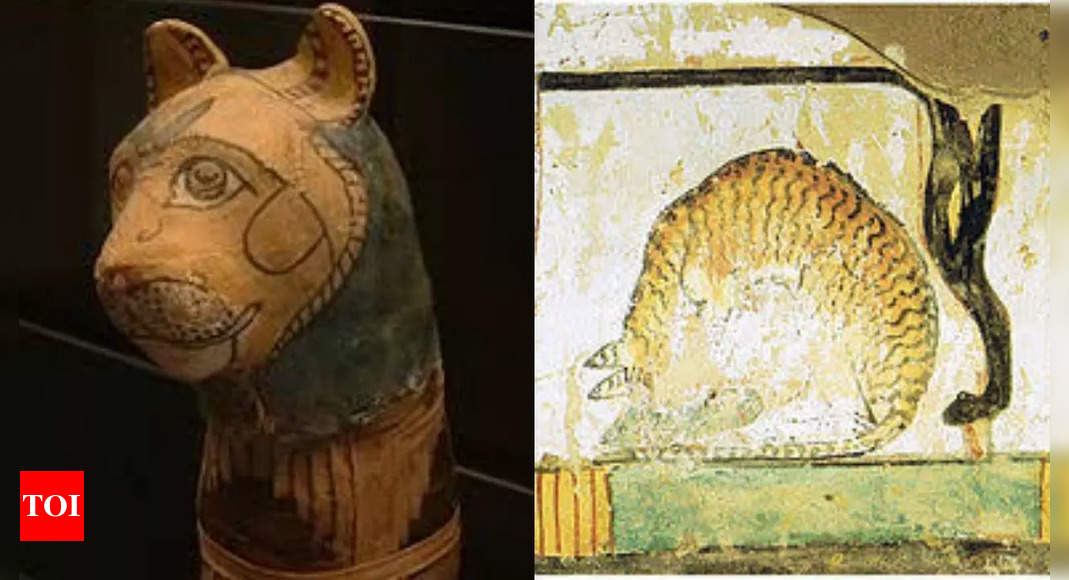 What made cats a symbolic part of Egyptian culture?